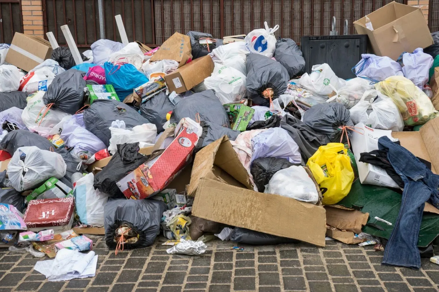 Ecomafia 2026, il giro d’affari è sempre più florido (ma calano per la prima volta i reati ambientali)