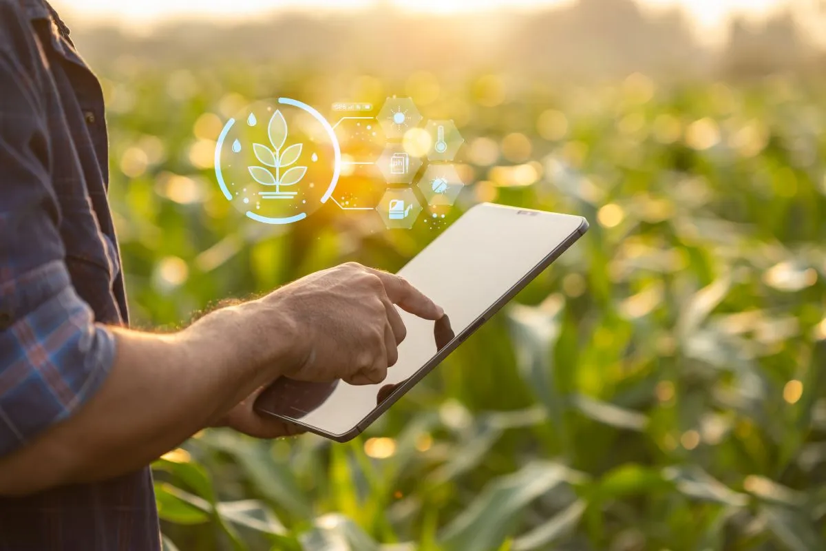 Basilicata, incentivi imprese agricole per innovazione tecnologica