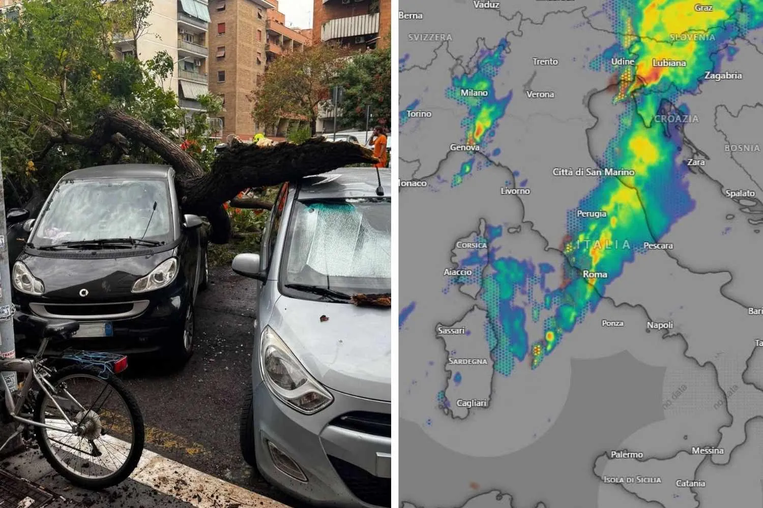 Bomba d'acqua su Roma: alberi caduti sulle auto e traffico in tilt (ma da domani il vortice ciclonico punta al Sud)