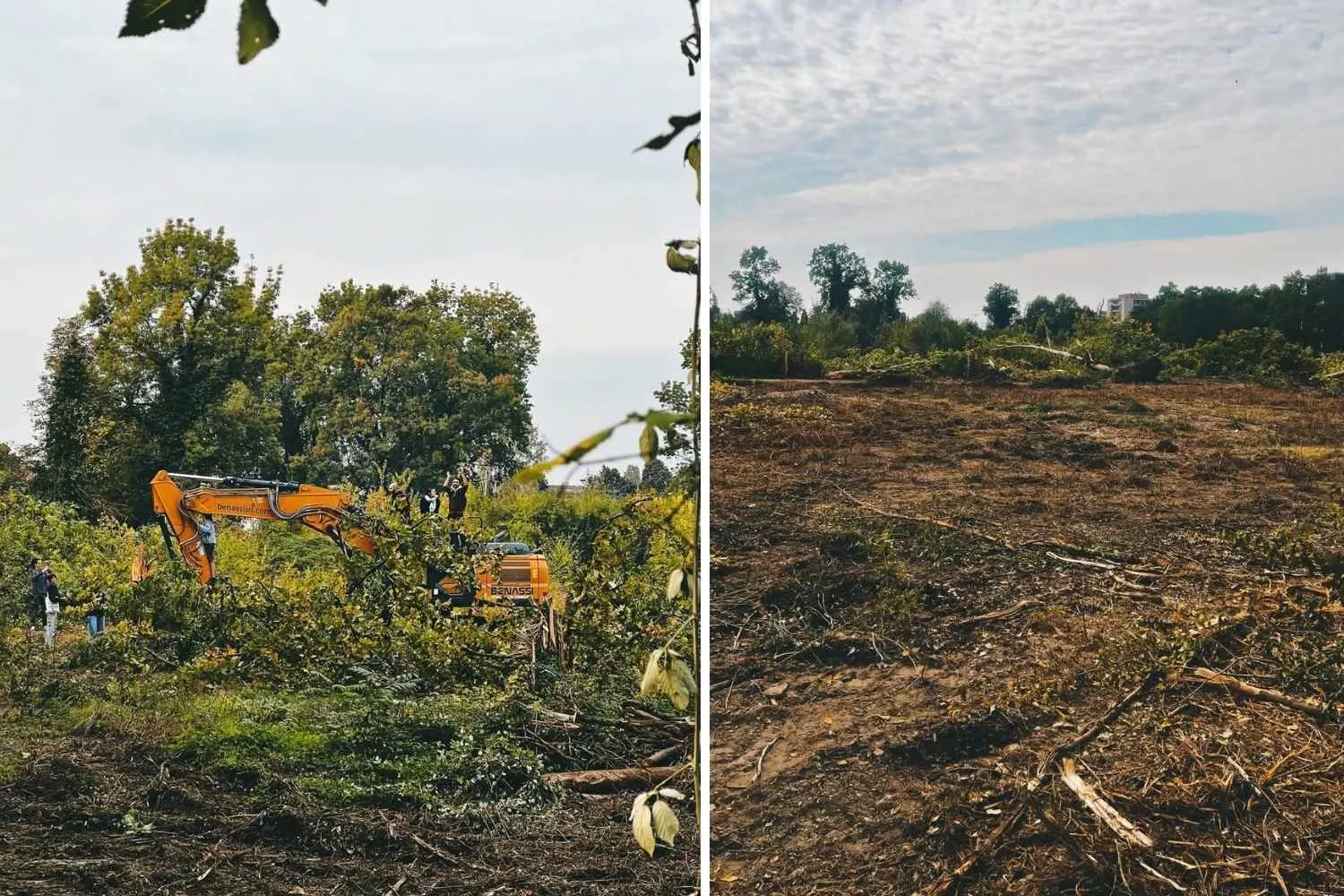 Bosco Ospizio: nonostante le proteste abbattuti 4,5 ettari di alberi "spontanei" per far posto al supermercato
