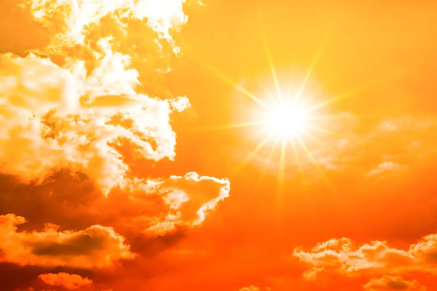 Il caldo anomalo non finirà dopo l’estate: un inquietante studio annuncia eventi di calore estremo anche fuori stagione
