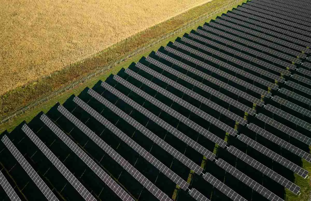 Fotovoltaico alla Consulta, nuove critiche al Dl Agricoltura